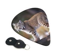 Guitar Picks 6 Pack Wild bobcat Print Personalized Guitar Picks with Organizer Storage Box Guitar Plectrum Guitar Accessories for Bass Electric Ukulele Guitar Players