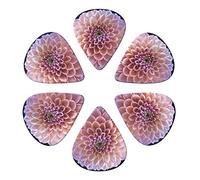 Guitar Picks 6 Pcs Flower Blossom Print Guitar Plectrums for Bass Electric Acoustic Guitars Ukulele