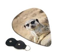 Guitar Picks 6 Pcs Meerkat Animal Print Guitar Plectrums for Bass Electric Acoustic Guitars Ukulele