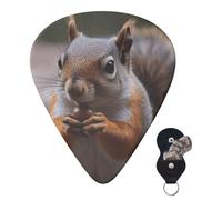 Guitar Picks 6 Pcs Plectrums with Guitar Pick Case Cute Squirrel