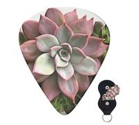 Guitar Picks 6 Pcs Plectrums with Guitar Pick Case Succulent Botanical