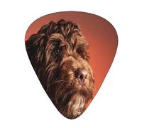 Guitar Picks,Adorable Cockapoo Dog For Acoustic Guitar, Electric Guitar, Bass,Ukulele Three Size(12 Pack)