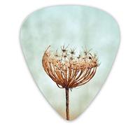 Guitar Picks Beautiful Winter Flower Ukulele Picks 12 Pieces Including 0.46 mm 0.71 mm 0.96 mm