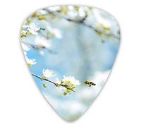 Guitar Picks Bee and Flowers 12 Pieces Ukulele Picks Including 0.46 mm 0.71 mm 0.96 mm