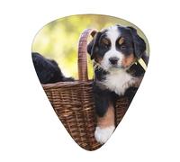 Guitar Picks,Bernese Mountain Dog Puppies For Acoustic Guitar, Electric Guitar, Bass,Ukulele Three Size(12 Pack)