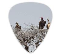Guitar Picks Bird on Tree 12 Pieces Ukulele Picks Including 0.46 mm 0.71 mm 0.96 mm