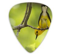 Guitar Picks Bird on Tree Ukulele Picks 12 Pieces Including 0.46 mm 0.71 mm 0.96 mm