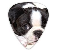 Guitar Picks Black And White Boston Terrier Guitar Picks 12 Packs - Variety Guitar Picks Plectrums
