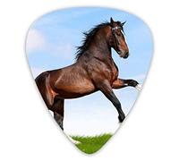 Guitar Picks Black Horse Running in Field 12 Pieces Ukulele Picks Including 0.46 mm 0.71 mm 0.96 mm