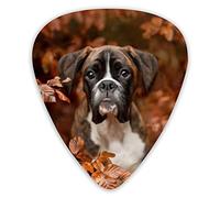 Guitar Picks Boxer Dogs Autumn Premium Picks Sampler 12 Packs - Variety Guitar Picks Plectrums