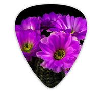 Guitar Picks Cactus with Purple Flowers 12 Pieces Ukulele Picks Including 0.46 mm 0.71 mm 0.96 mm