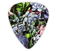 Guitar Picks Colorful Pattern of Succulent Plants Tropical 12 Pieces Ukulele Picks Including 0.46 mm 0.71 mm 0.96 mm