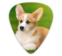 Guitar Picks Corgi Dog 12 Pieces Ukulele Picks Including 0.46 mm 0.71 mm 0.96 mm