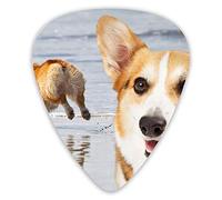 Guitar Picks Corgi Running Happily by The River 12 Pieces Ukulele Picks Including 0.46 mm 0.71 mm 0.96 mm