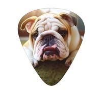 Guitar Picks Cute Bulldog Puppy Print 12 Pack Thin Medium Heavy Guitar Plectrums Guitar Accessories For Bass, Guitars With Storage Box