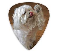 Guitar Picks Cute Maltese Dog Ukulele Picks 12 Pieces Including 0.46 mm 0.71 mm 0.96 mm