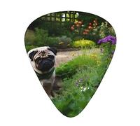 Guitar Picks Dod In The Garden Printed Ukulele Bass Electric Acoustic Guitars Thin Medium Heavy 12 Pack(0.46/0.71/0.96 Mm)