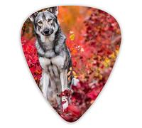 Guitar Picks Dog World 12 Pieces Ukulele Picks Including 0.46 mm 0.71 mm 0.96 mm