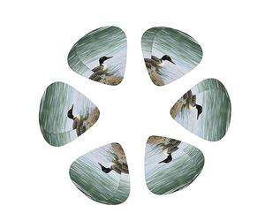 Guitar Picks,For Acoustic Guitar, Electric Guitar, Bass,Ukulele Three Size(12 Pack) Loon Nature Birds Printed