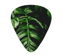 Guitar Picks,For Acoustic Guitar, Electric Guitar, Bass,Ukulele Three Size(12 Pack) Tropical Green Leaves Print