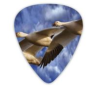 Guitar Picks Freedom Fly 12 Pieces Ukulele Picks Including 0.46 mm 0.71 mm 0.96 mm