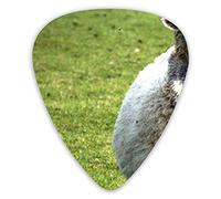 Guitar Picks Goat Skin Wolf Premium Guitar Picks 12 Pieces Ukulele Picks Including 0.46 mm 0.71 mm 0.96 mm