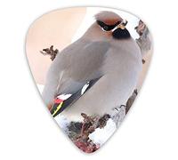 Guitar Picks Grey Bird 12 Pieces Ukulele Picks Including 0.46 mm 0.71 mm 0.96 mm