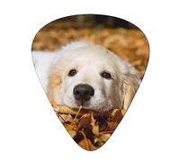Guitar Picks Lazy Dog Puppy Print Ukulele Bass Electric Acoustic Guitars Thin Medium Heavy 12 Pack(0.46/0.71/0.96 Mm)