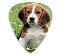 Guitar Picks Lovely Dog on Grass Ukulele Picks 12 Pieces Including 0.46 mm 0.71 mm 0.96 mm