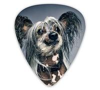 Guitar Picks Lovely Funny Dog Ukulele Picks 12 Pieces Including 0.46 mm 0.71 mm 0.96 mm