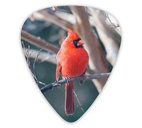 Guitar Picks Nature red Bird Ukulele Picks 12 Pieces Including 0.46 mm 0.71 mm 0.96 mm