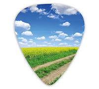Guitar Picks Picks 12 Pack with Thin Box,Countryside Road On Field Of Rapeseeds Into Nature Season Freshness,Special Guitar Plectrums Gift Set for Guitarist