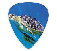Guitar Picks Picks 12 Pack with Thin Box,Cute Angry Looking Sea Turtle Swimming With Remora Fishes Fauna Under The Sea,Special Guitar Plectrums Gift Set for Guitarist