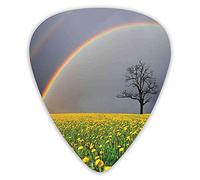 Guitar Picks Picks 12 Pack with Thin Box,Dandelion Field And Lonely Barren Tree Under Cloudy Sky With Rainbow Rainy Weather,Special Guitar Plectrums Gift Set for Guitarist