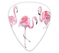 Guitar Picks Picks 12 Pack with Thin Box,Exotic Birds Watercolors Nature Of Brazil Rainforests Aloha Wildlife,Special Guitar Plectrums Gift Set for Guitarist