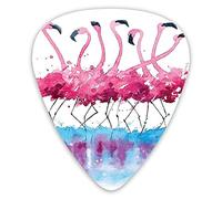 Guitar Picks Picks 12 Pack with Thin Box,Flamingos Love Birds Feather Romance Brushstroke Splash Watercolor Effect,Special Guitar Plectrums Gift Set for Guitarist