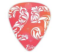 Guitar Picks Picks 12 Pack with Thin Box,Font With Leaves Flowers Hearts Number Twenty Five Stars,Special Guitar Plectrums Gift Set for Guitarist