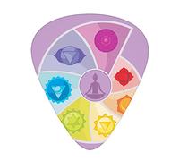 Guitar Picks Picks 12 Pack with Thin Box,Frontal Section of Snail Shell Partitioned Rainbow Spiral Chakra Symbols Display,Special Guitar Plectrums Gift Set for Guitarist,Purple