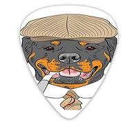 Guitar Picks Picks 12 Pack with Thin Box,Funny Gentleman Hipster Dog In A Brown Cap With A Tie And A Cigarette Portrait,Special Guitar Plectrums Gift Set for Guitarist
