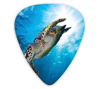 Guitar Picks Picks 12 Pack with Thin Box,Hawksbill Sea Turtle Dive Deep Into The Blue Ocean Against Sun Rays,Special Guitar Plectrums Gift Set for Guitarist