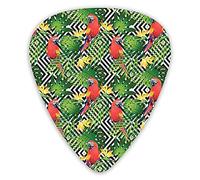 Guitar Picks Picks 12 Pack with Thin Box,Jungle Birds In Foliage Exotic Leaves And Flowers Indigenous Species From Brazil,Special Guitar Plectrums Gift Set for Guitarist