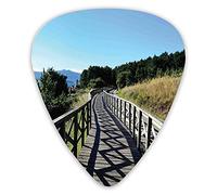 Guitar Picks Picks 12 Pack with Thin Box,Wooden Pathway By Sea Bridge Placid Quiet Alone Time Plants Tree Healing Print,Special Guitar Plectrums Gift Set for Guitarist
