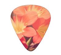 Guitar Picks Red Flower Petals Printed 12 Pack Guitar Picks For Electric Acoustic Bass Guitar Ukelele