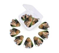 Guitar Picks Set of 12 with Storage Case A tabby cat on the grass Guitar Plectrums for Acoustic Electric Bass Guitar 0.46mm 0.71mm 0.96mm Thin Medium Heavy Guitar Picks for Beginners & Musicians