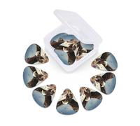 Guitar Picks Set of 12 with Storage Case An eagle flies over Guitar Plectrums for Acoustic Electric Bass Guitar 0.46mm 0.71mm 0.96mm Thin Medium Heavy Guitar Picks for Beginners & Musicians