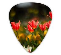 Guitar Picks Small Red Flower 12 Pieces Ukulele Picks Including 0.46 mm 0.71 mm 0.96 mm