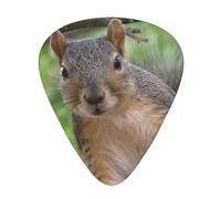 Guitar Picks Squirrel In The Tree 12 Pack Thin Medium Heavy Guitar Plectrums Guitar Accessories For Bass, Guitars With Storage Box