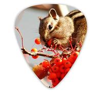 Guitar Picks That Hunger Squirrel! 12 Pieces Ukulele Picks Including 0.46 mm 0.71 mm 0.96 mm