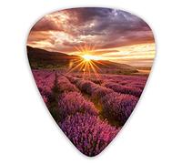 Guitar Picks The Colours of transhumance 12 Pieces Ukulele Picks Including 0.46 mm 0.71 mm 0.96 mm
