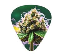 Guitar Picks Variety Pack - Smooth Edges, Durable & Clear Patterns - 3 Thickness Options A Puff in Time Weed Marijuana (2)